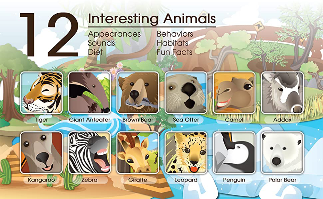 BEST LEARNING Book Reader Animal Kingdom